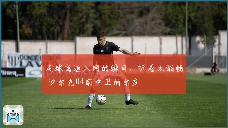 足球高速入网的瞬间，听着太酣畅 沙尔克04前中卫纳尔多