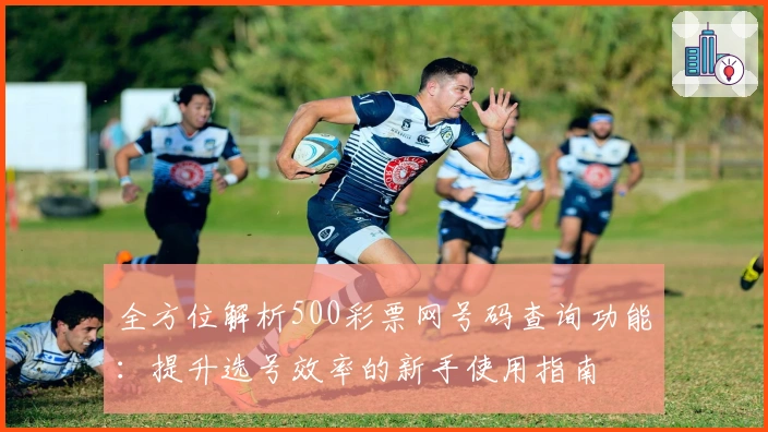 全方位解析500彩票网号码查询功能：提升选号效率的新手使用指南