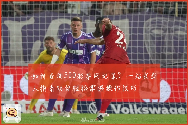 如何查询500彩票网记录？一站式新人指南助你轻松掌握操作技巧